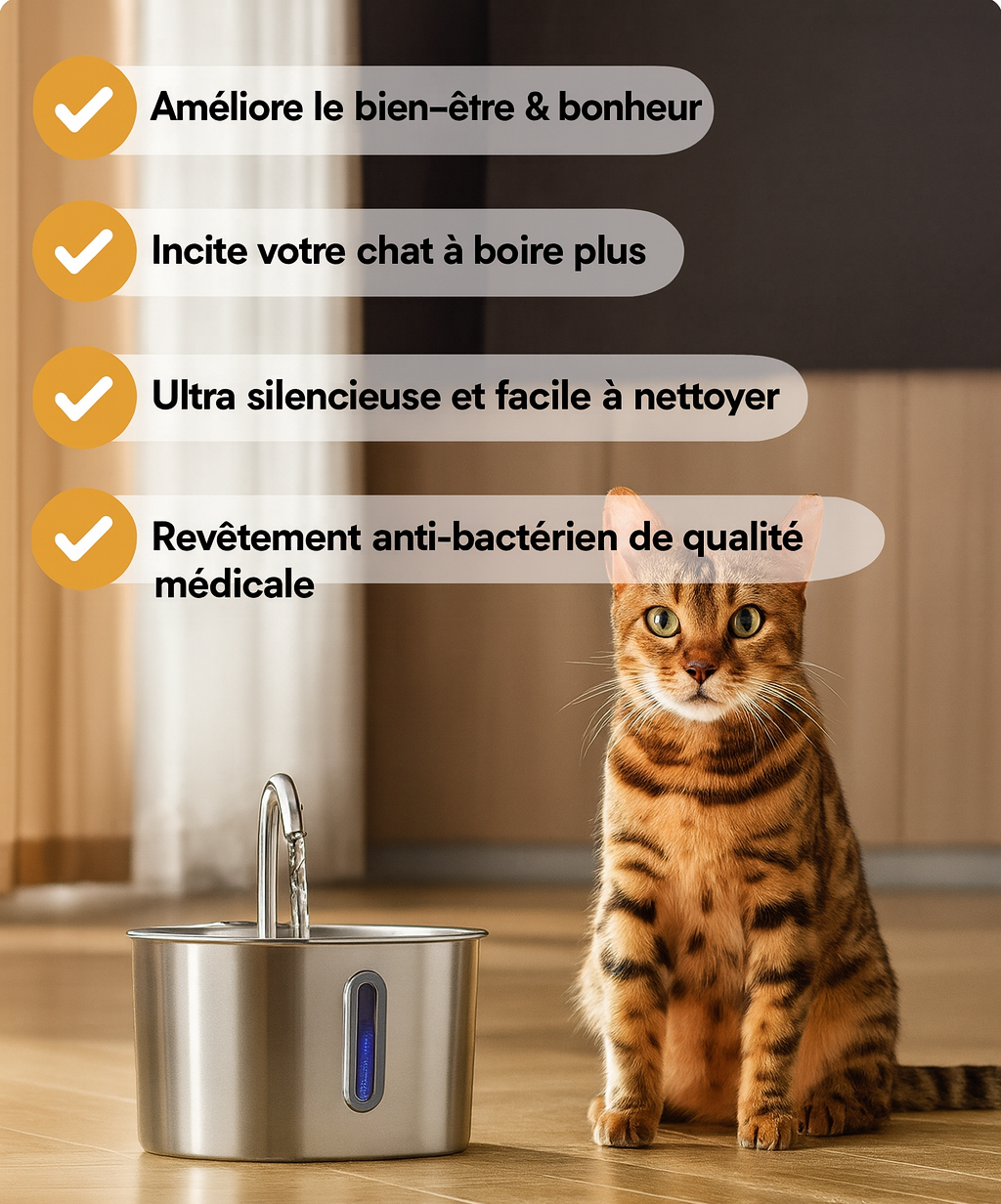 NUAGEON™ - Fontaine à Eau en Acier Inoxydable