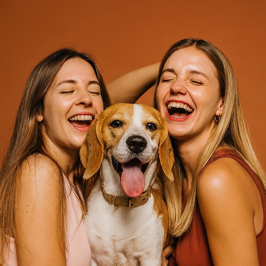 Le Secret des Propriétaires d’Animaux Heureux
