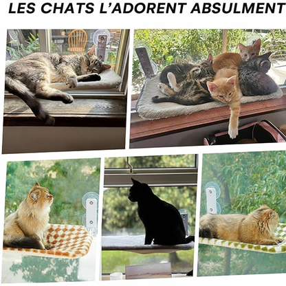 Perchoir de fenêtre pour chat
