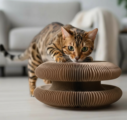 Griffoir interactif pour chats