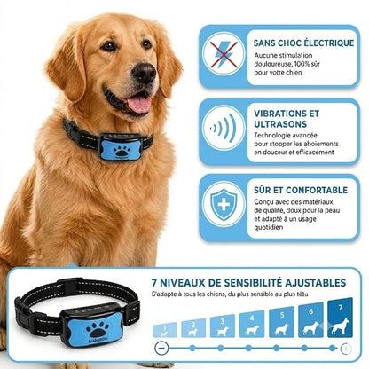 collier Anti Aboiment Nuageon